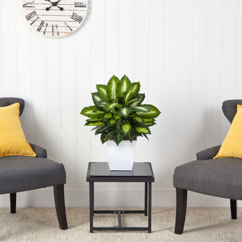 2-Foot Golden Dieffenbachia Artificial Plant in White Metal Planter