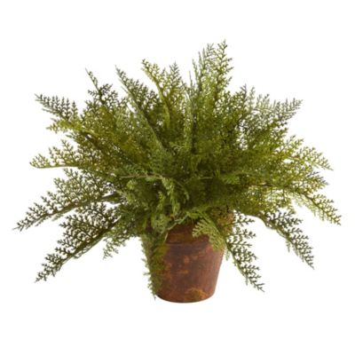 19-Inch Maiden Hair Fern Artificial Plant in Decorative Planter