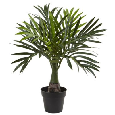 15.5-Inch Mini Areca Palm Artificial Plant