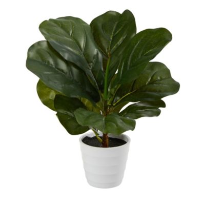 11-Inch Fiddle Leaf Artificial Plant in White Planter (Real Touch)