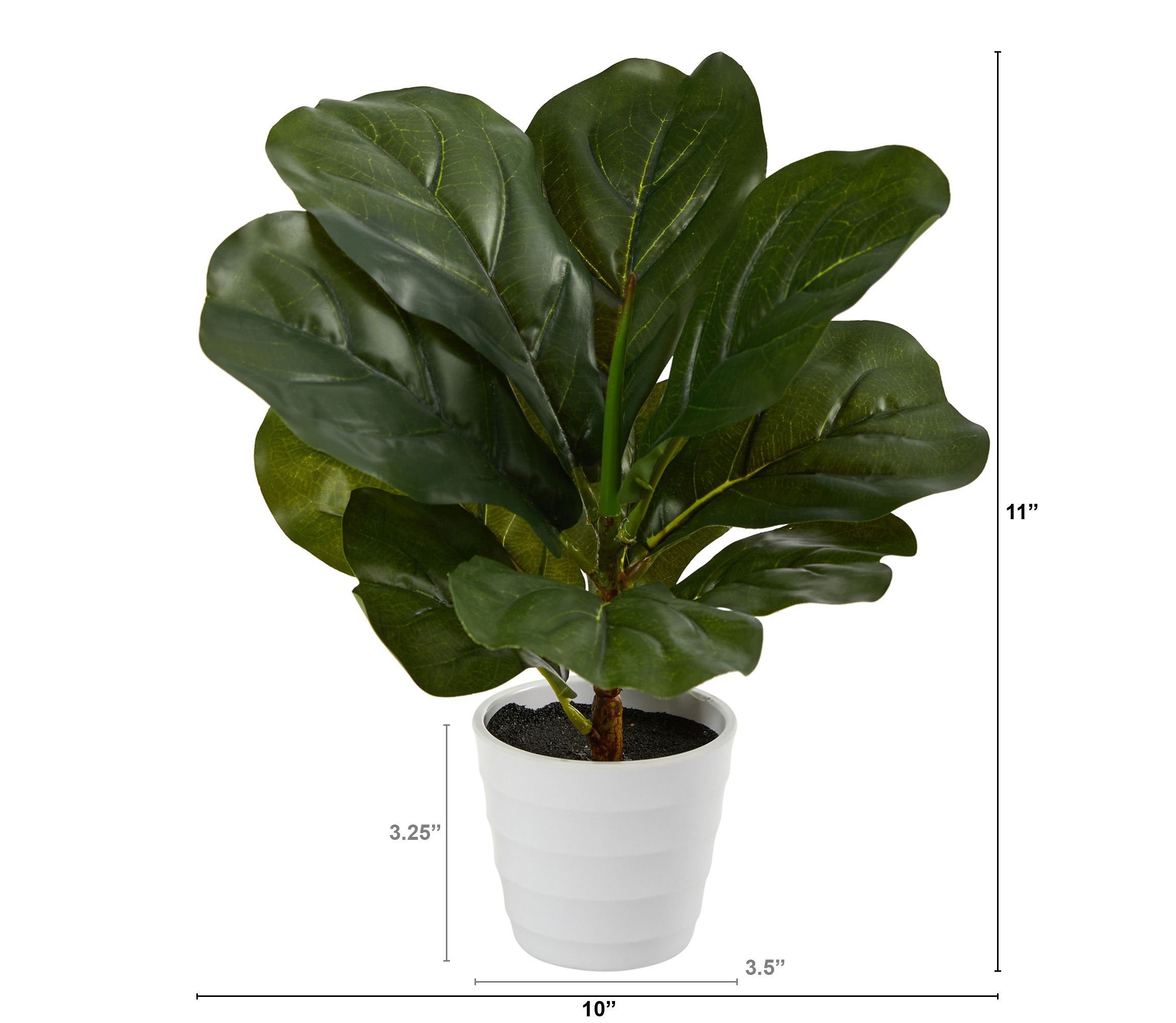 11-Inch Fiddle Leaf Artificial Plant in White Planter (Real Touch)