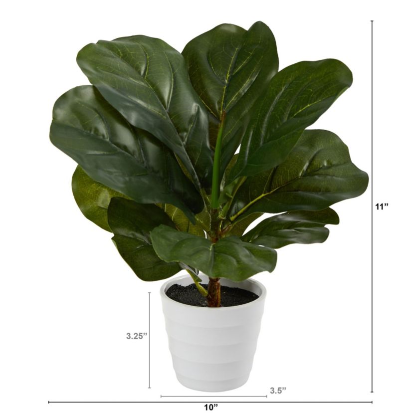 11-Inch Fiddle Leaf Artificial Plant in White Planter (Real Touch)