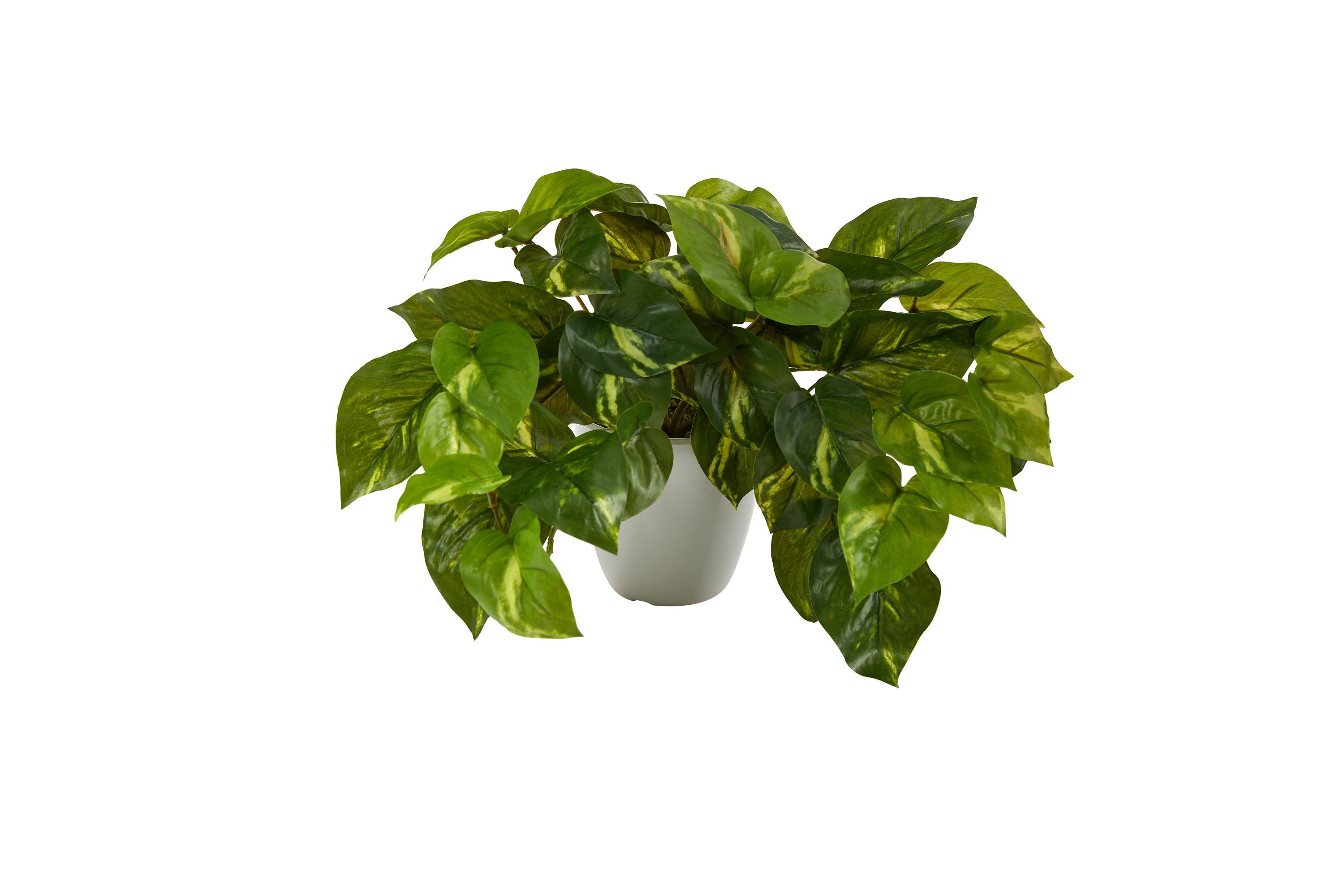 9-Inch Pothos Artificial Plant in White Planter (Real Touch)