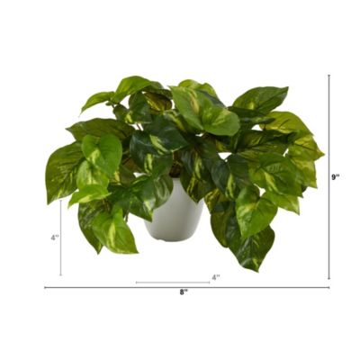 9-Inch Pothos Artificial Plant in White Planter (Real Touch)