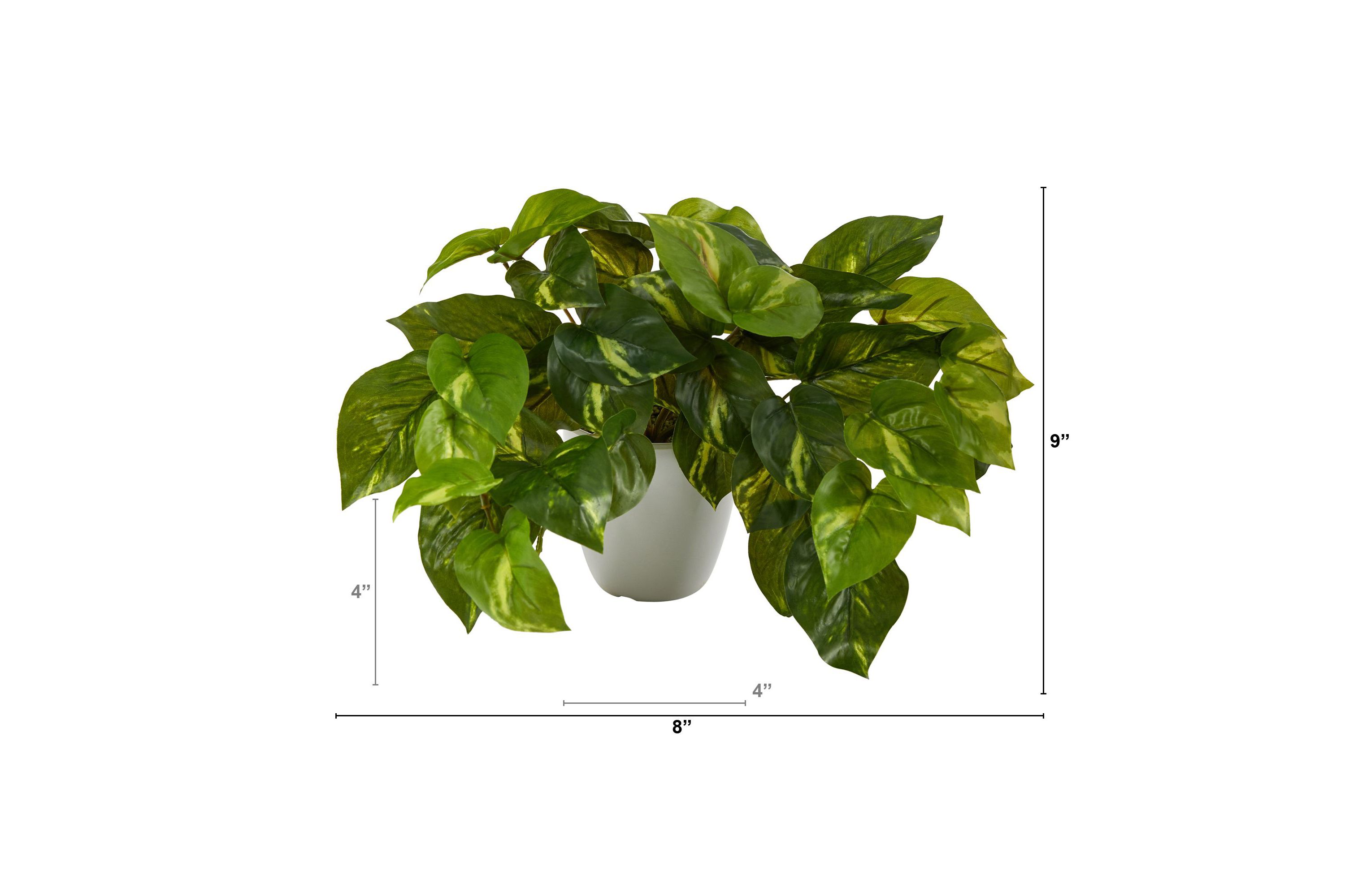 9-Inch Pothos Artificial Plant in White Planter (Real Touch)