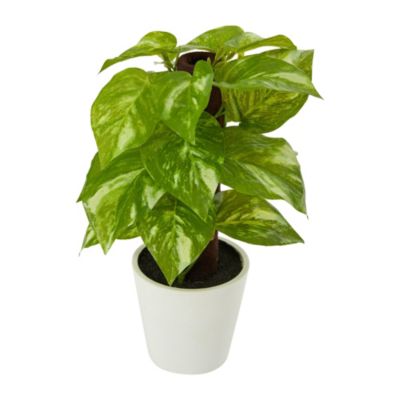 9-Inch Pothos Artificial Plant in White Planter (Real Touch)