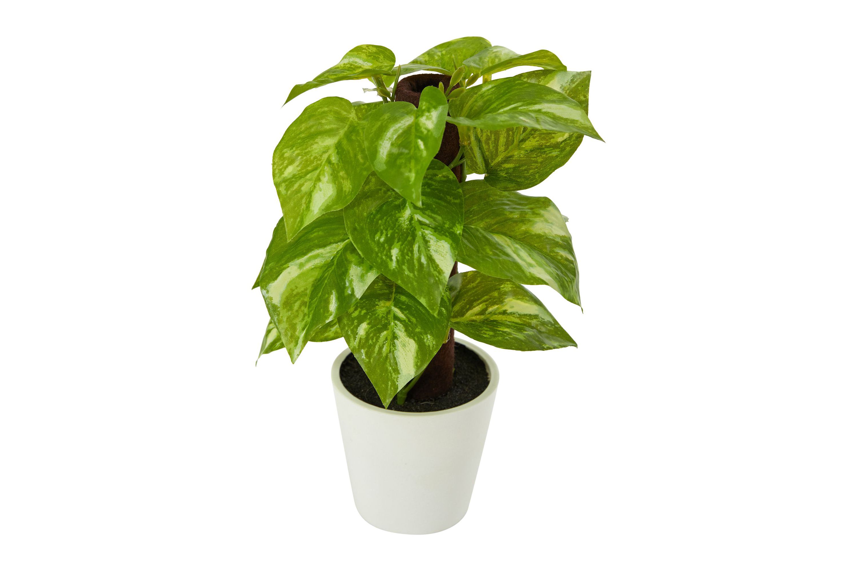 9-Inch Pothos Artificial Plant in White Planter (Real Touch)