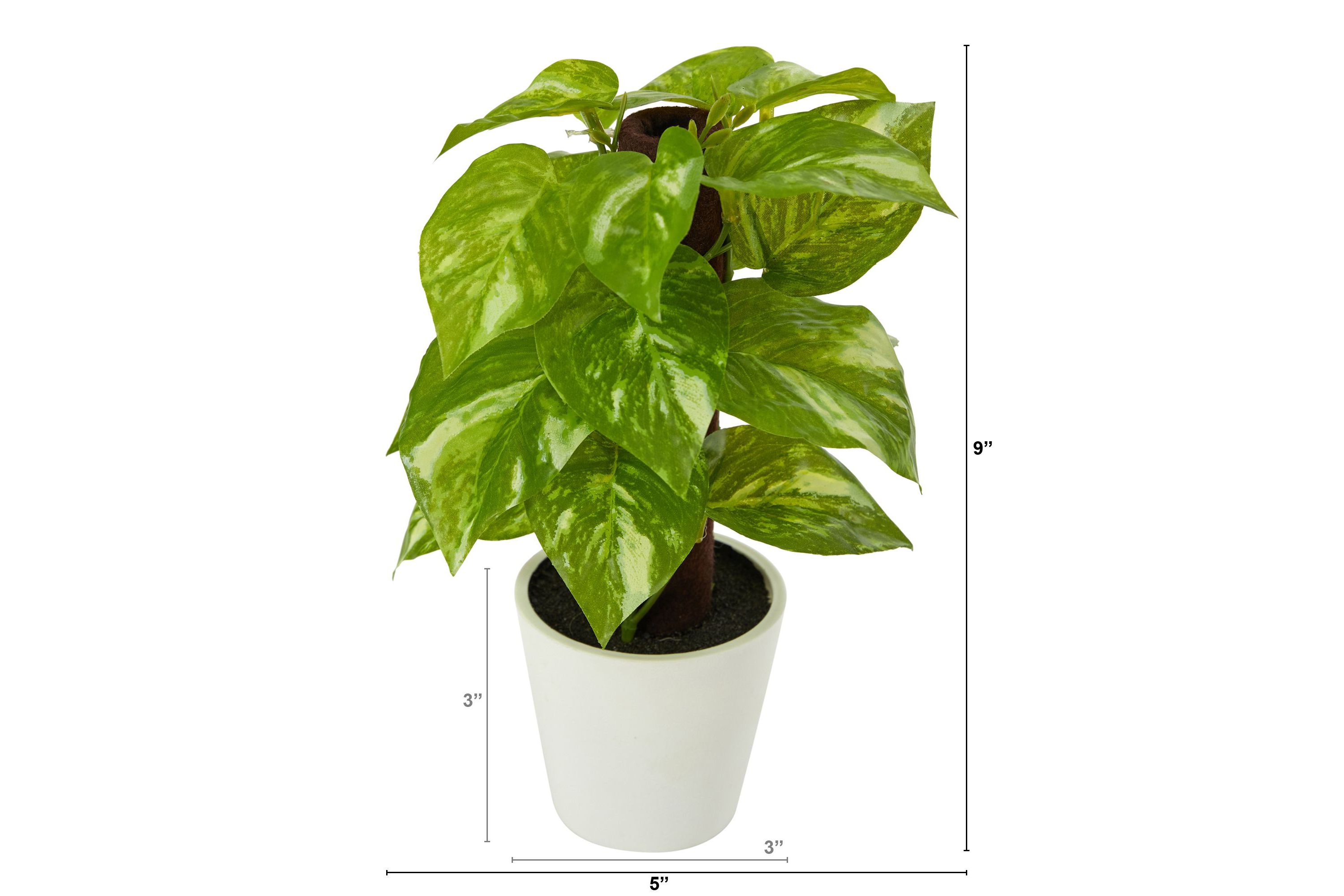 9-Inch Pothos Artificial Plant in White Planter (Real Touch)
