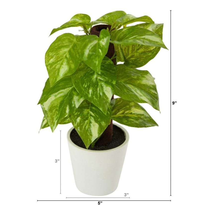 9-Inch Pothos Artificial Plant in White Planter (Real Touch)