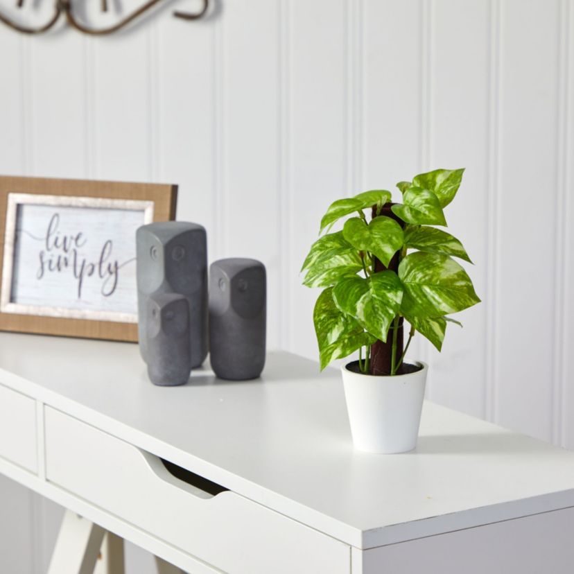 9-Inch Pothos Artificial Plant in White Planter (Real Touch)