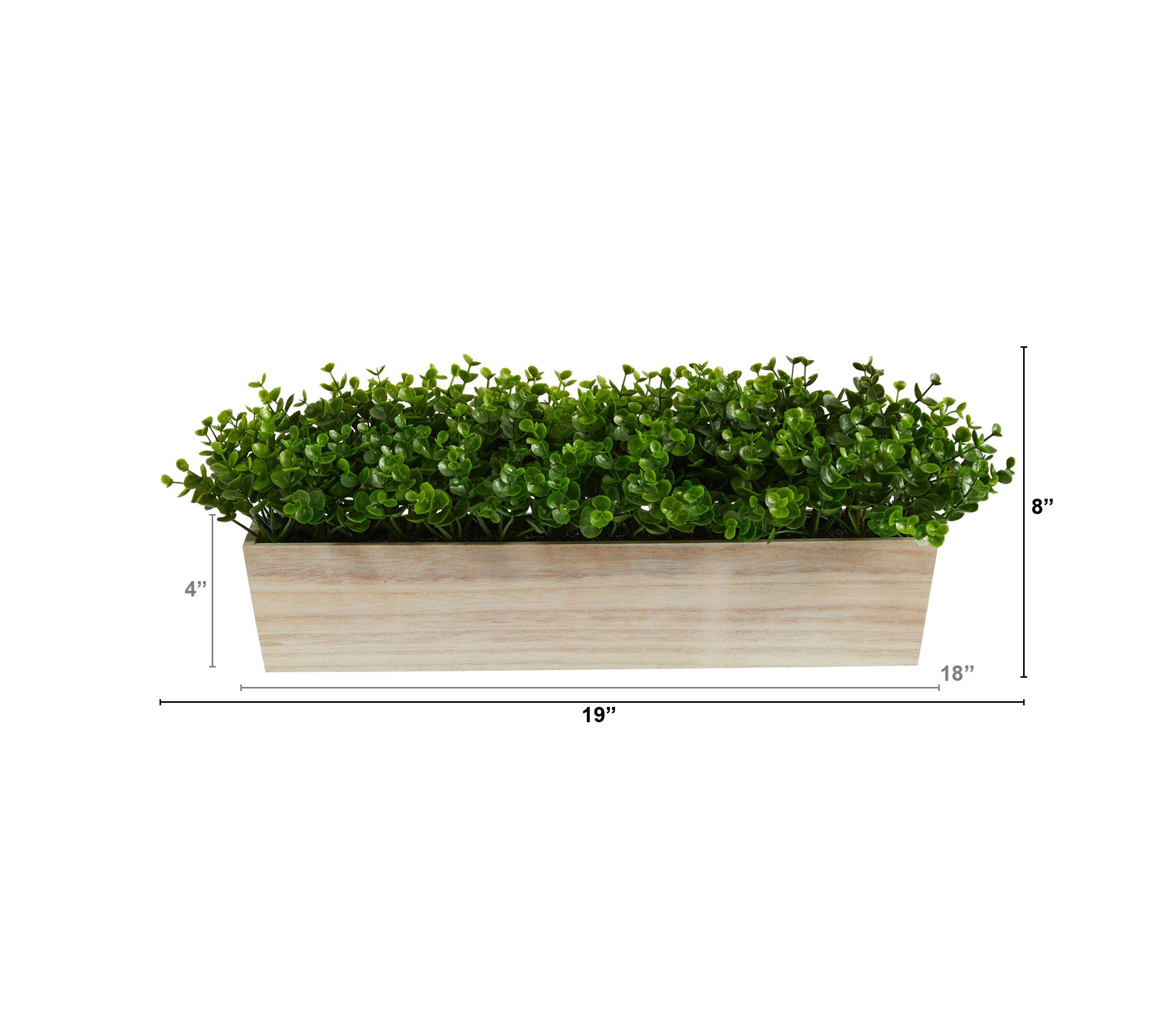 19-Inch Eucalyptus Artificial Plant in Decorative Planter