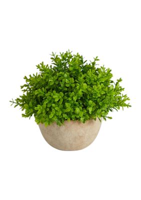 Nearly Natural 5-Inch Boxwood Artificial Plant in Decorative Planter, Green