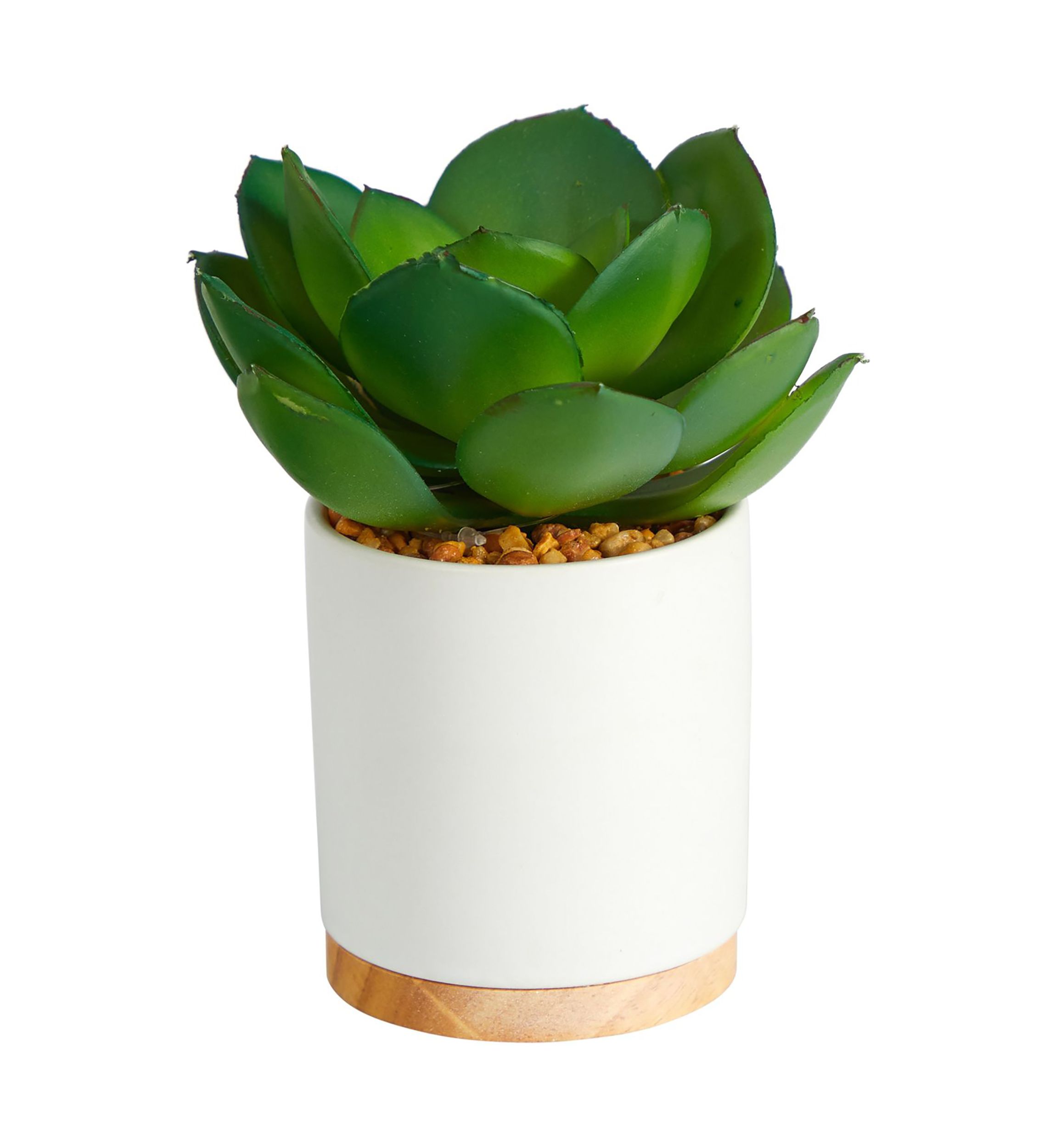 6-Inch Succulent Artificial Plant in White Ceramic Planter