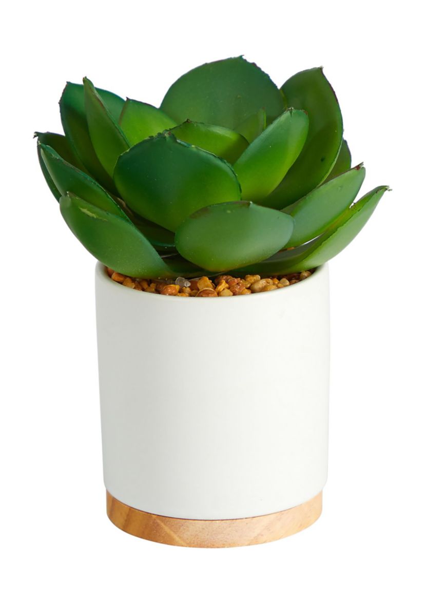 6-Inch Succulent Artificial Plant in White Ceramic Planter
