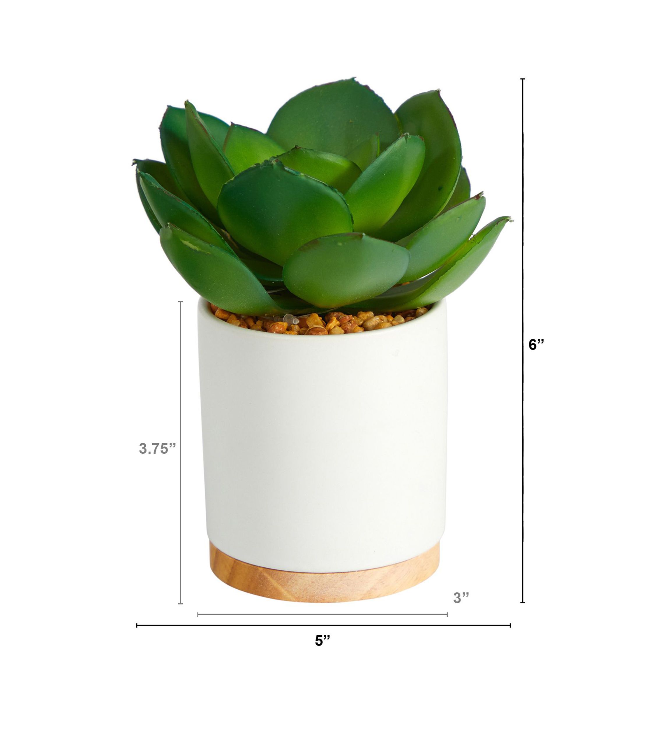 6-Inch Succulent Artificial Plant in White Ceramic Planter