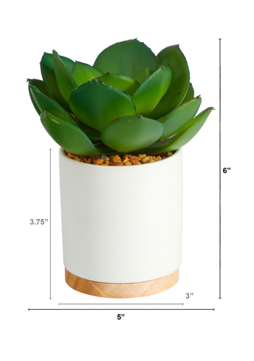 6-Inch Succulent Artificial Plant in White Ceramic Planter