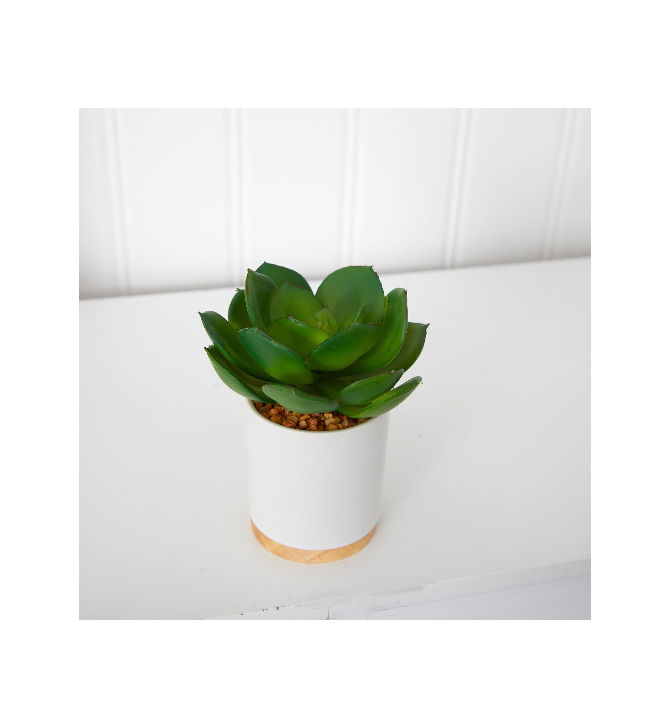 6-Inch Succulent Artificial Plant in White Ceramic Planter