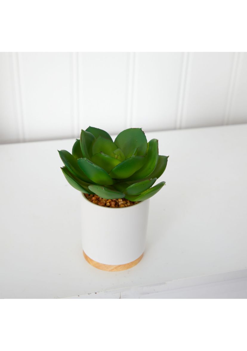 6-Inch Succulent Artificial Plant in White Ceramic Planter