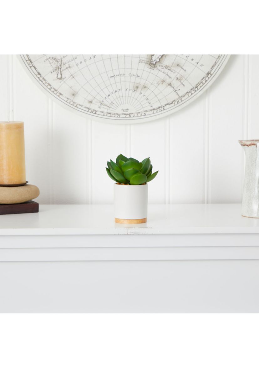 6-Inch Succulent Artificial Plant in White Ceramic Planter