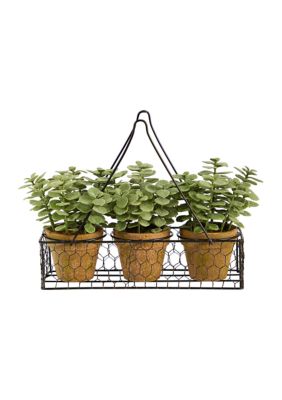 Nearly Natural 7-Inch Mini Jade Garden Artificial Plant in Hanging Planter, Green