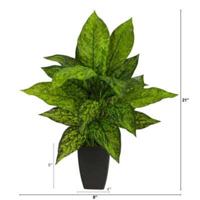 21-Inch Dieffenbachia Artificial Plant in Black Planter