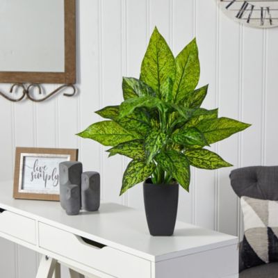 21-Inch Dieffenbachia Artificial Plant in Black Planter