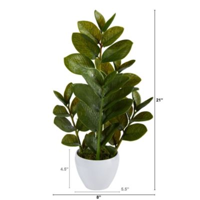 22-Inch Zamioculcas Artificial Plant in White Planter