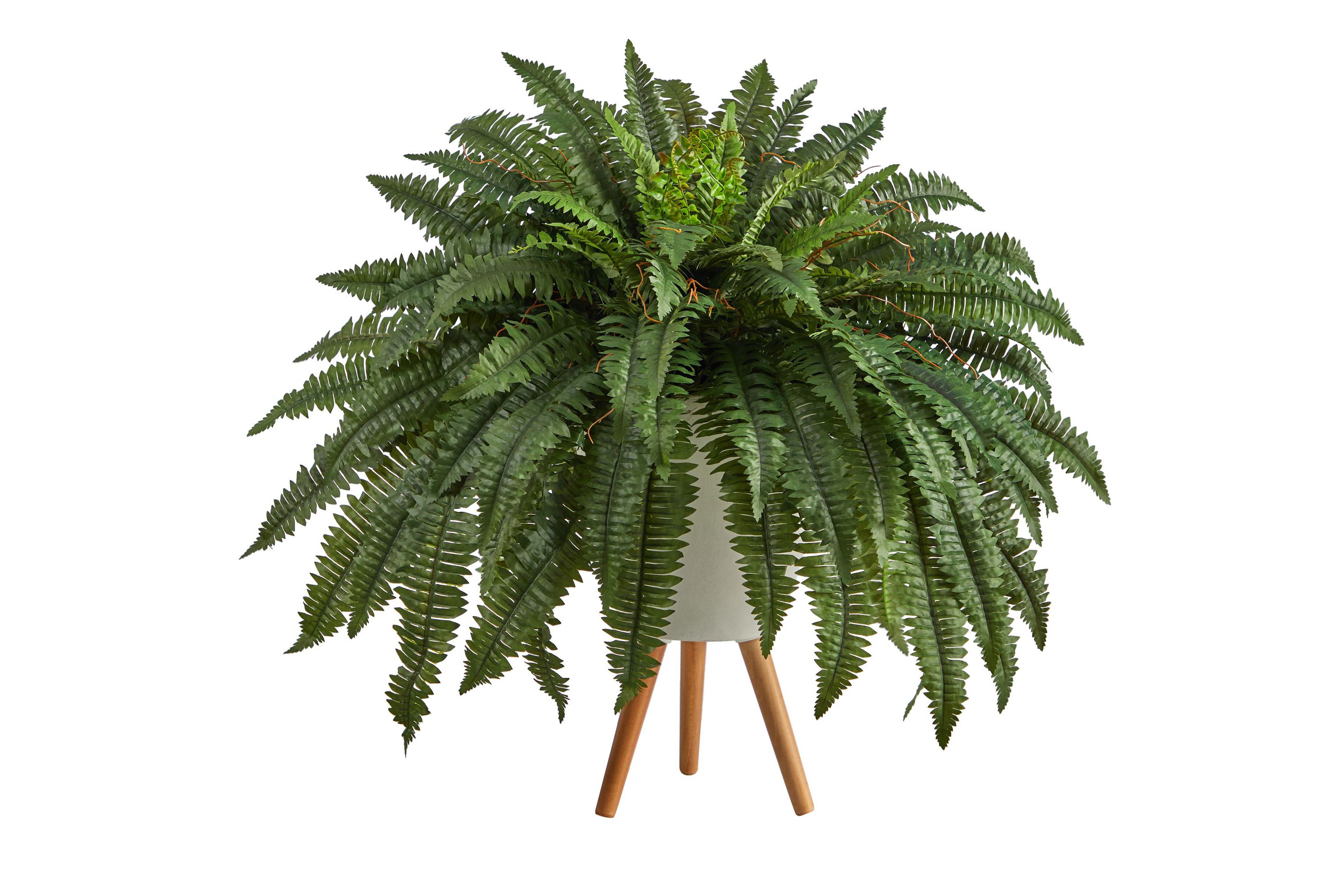 2.5-Foot Boston Fern Artificial Plant in White Planter with Legs