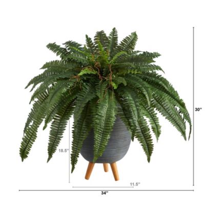 2.5-Foot Boston Fern Artificial Plant in Gray Planter with Stand