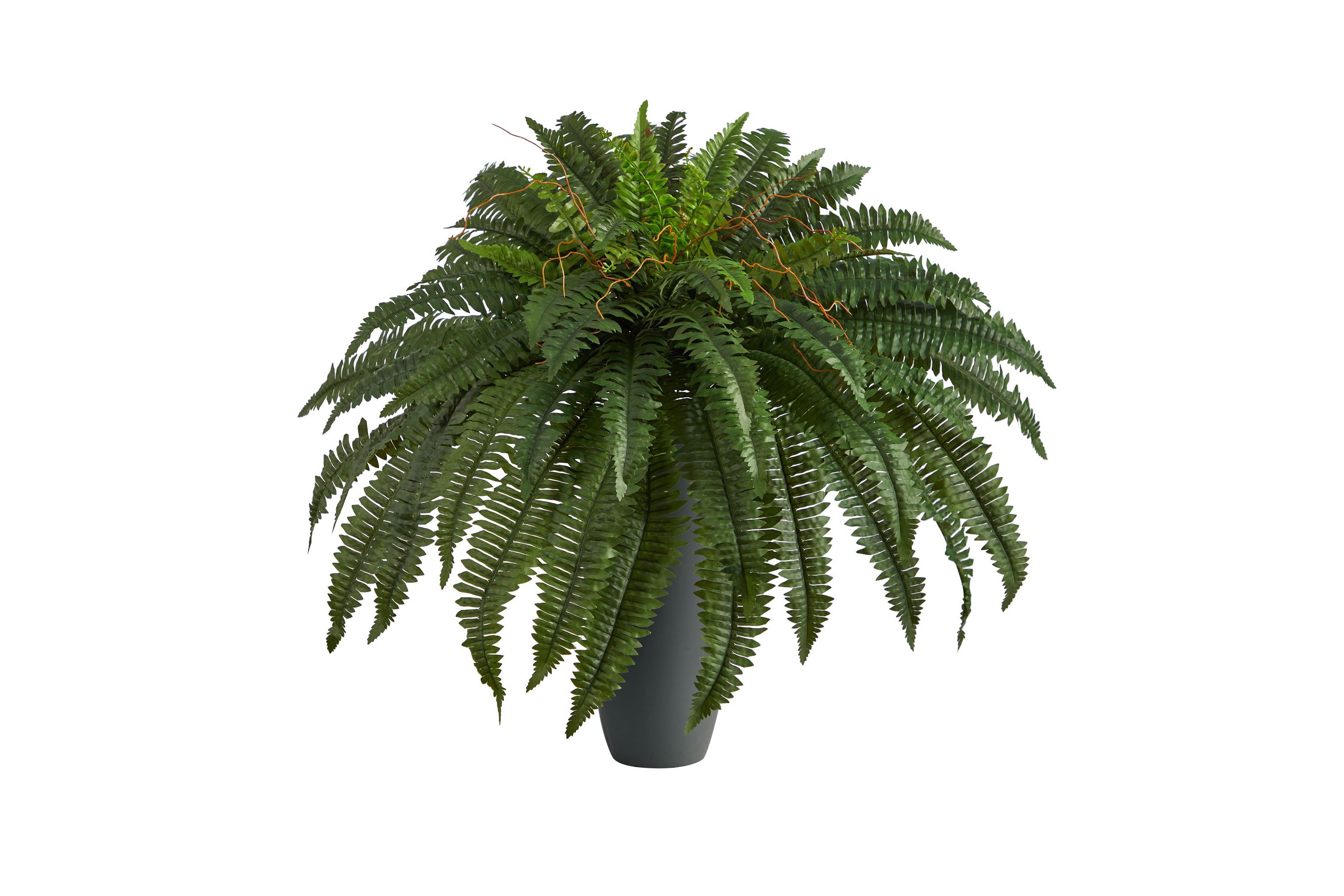 2.5-Foot Boston Fern Artificial Plant in Gray Planter