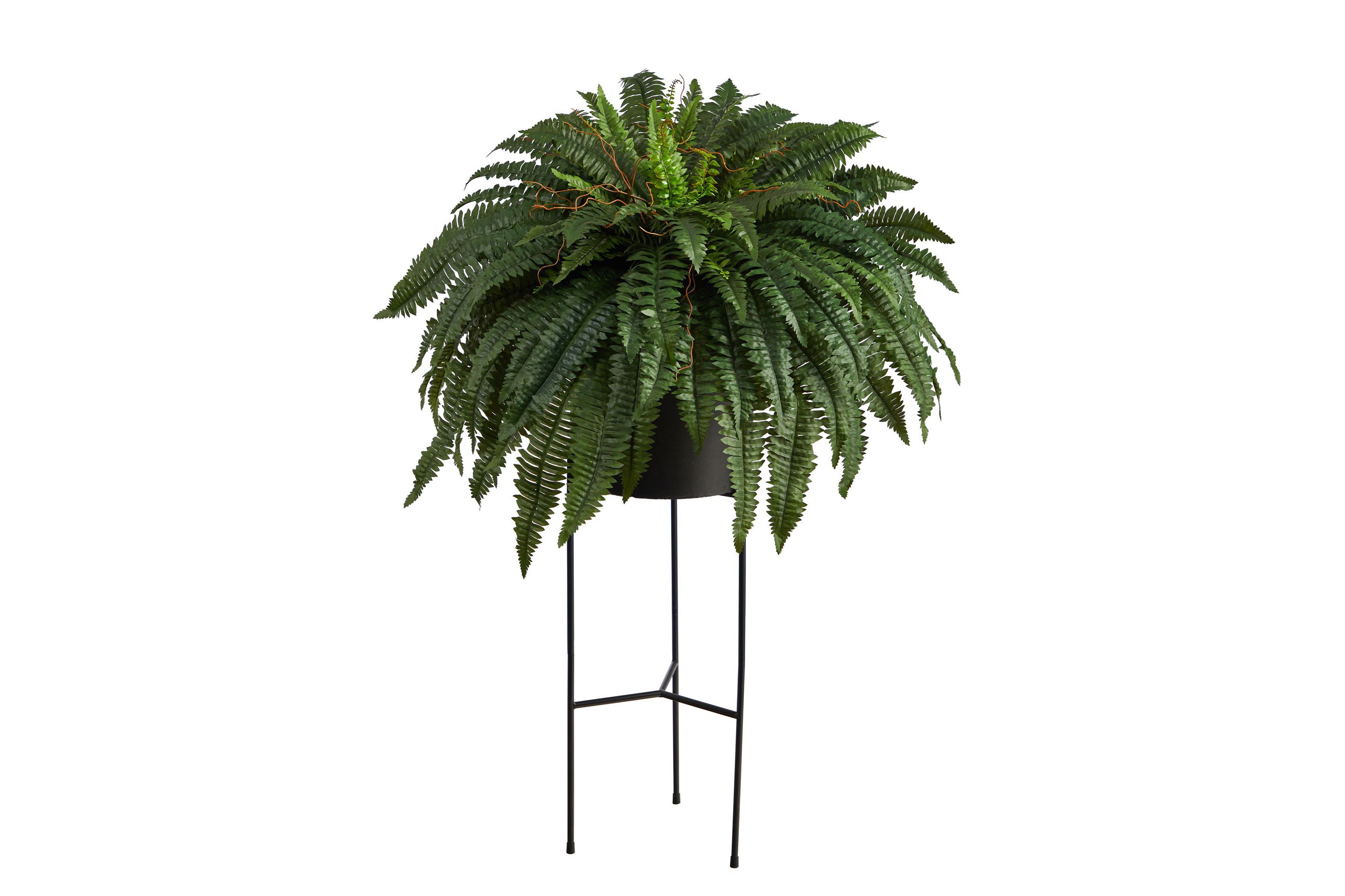 51-Inch Boston Fern Artificial Plant in Black Planter with Stand