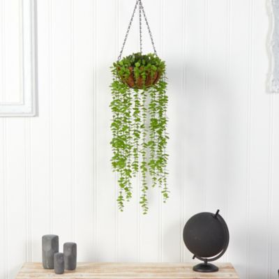 3-Foot Eucalyptus Artificial Plant in Hanging Basket