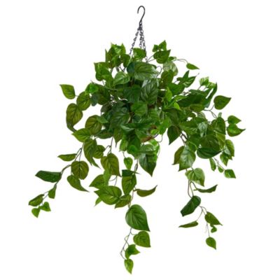 2.5-Foot Philodendron Artificial Plant in Hanging Basket