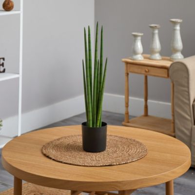 23-Inch Sansevieria Snake Artificial Plant