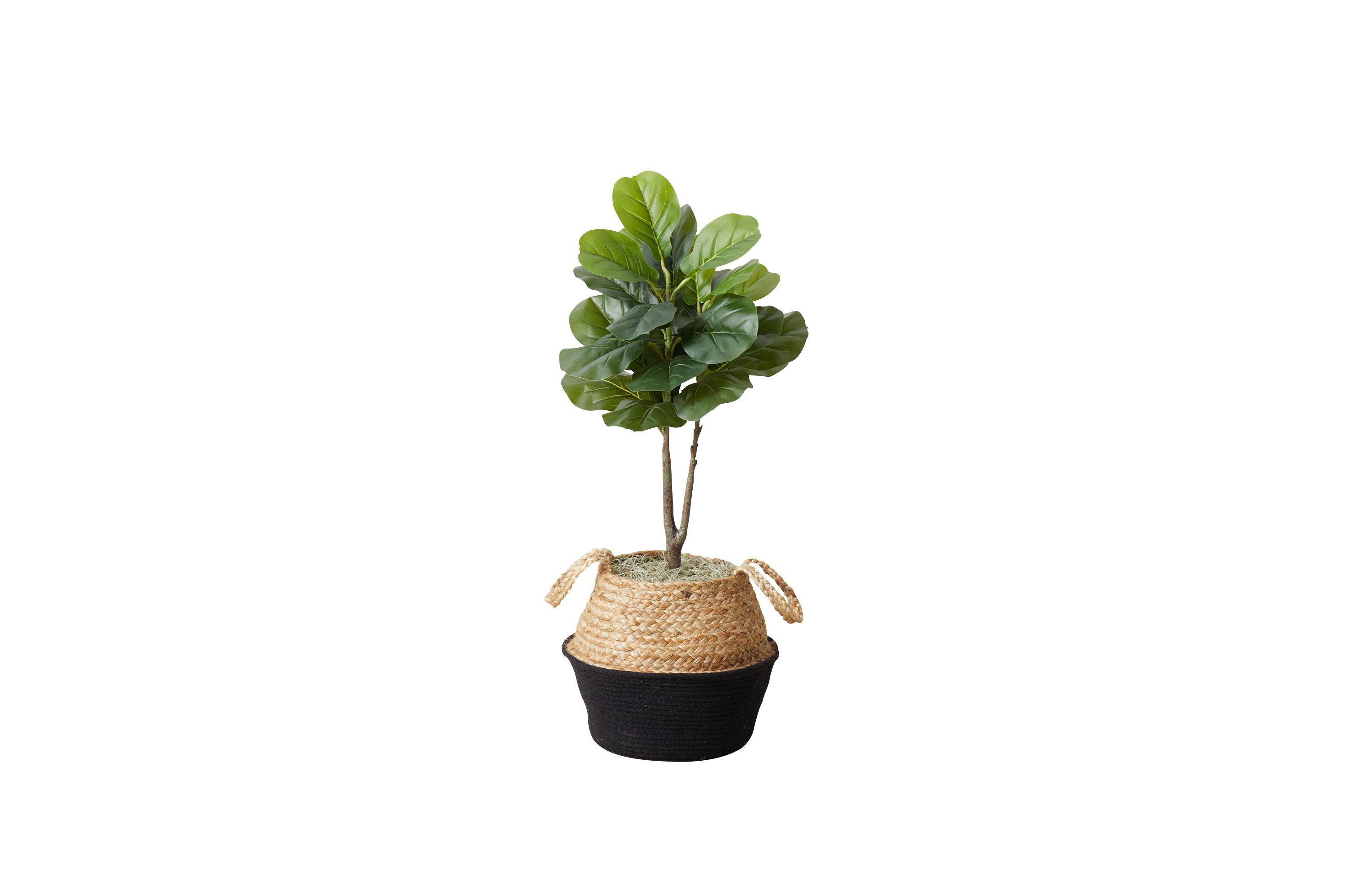 3-Foot Artificial Fiddle Leaf Fig Tree with Handmade Cotton and Jute Woven Basket DIY Kit