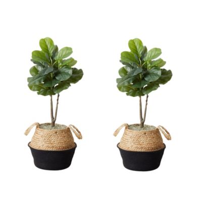 Nearly Natural 3-Foot Artificial Fiddle Leaf Fig Tree with Handmade Cotton and Jute Woven Planter DIY Kit - Set of 2, Green