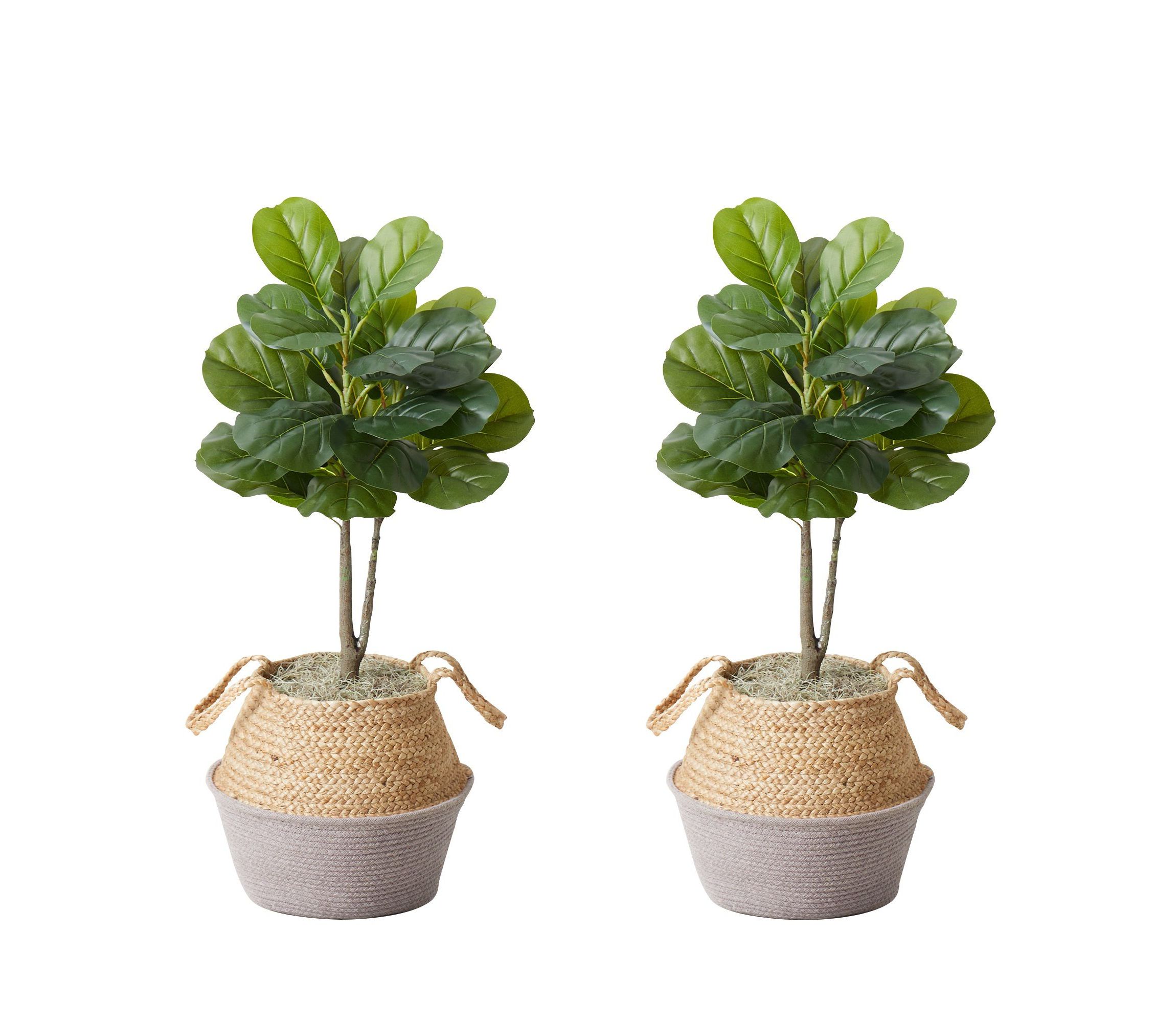 3-Foot Artificial Fiddle Leaf Fig Tree with Handmade Cotton and Jute Woven Planter DIY Kit - Set of 2