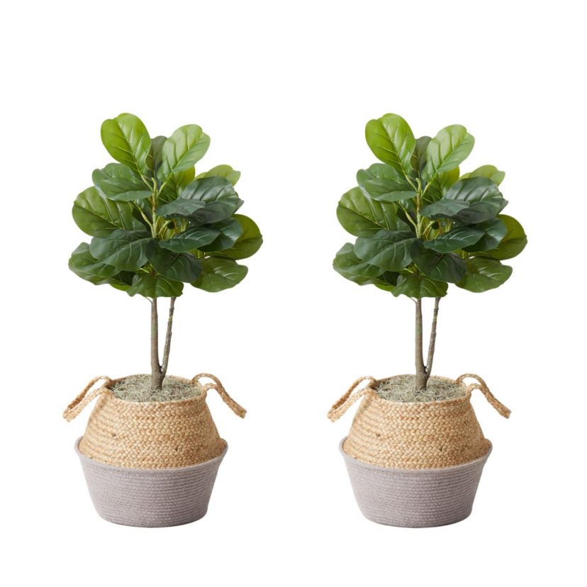 3-Foot Artificial Fiddle Leaf Fig Tree with Handmade Cotton and Jute Woven Planter DIY Kit - Set of 2