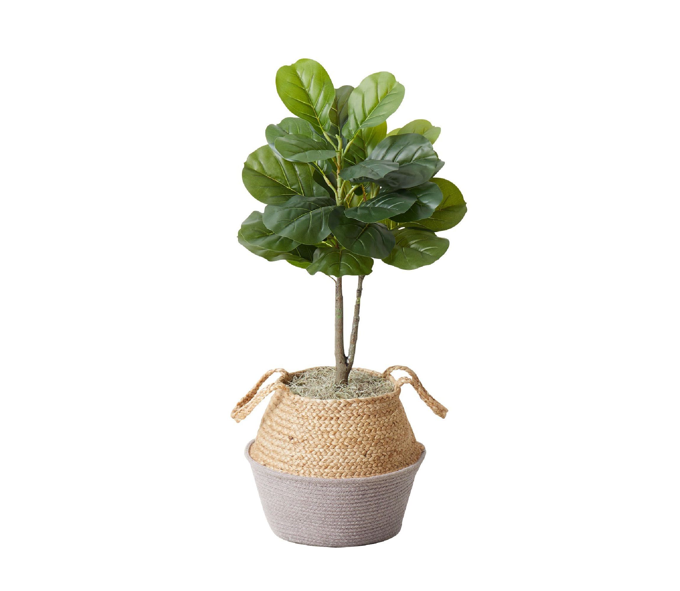 3-Foot Artificial Fiddle Leaf Fig Tree with Handmade Cotton and Jute Woven Planter DIY Kit - Set of 2