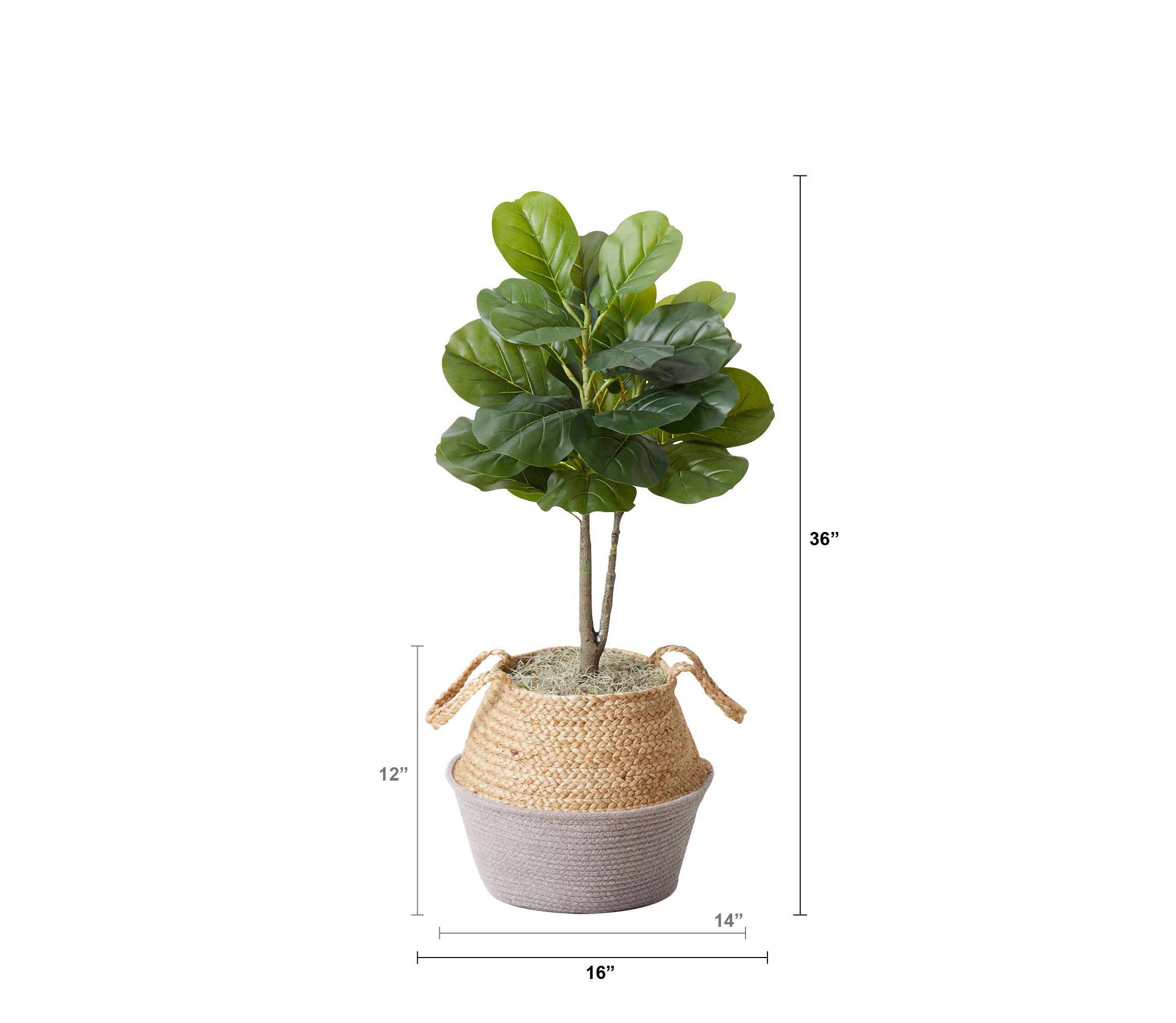 3-Foot Artificial Fiddle Leaf Fig Tree with Handmade Cotton and Jute Woven Planter DIY Kit - Set of 2