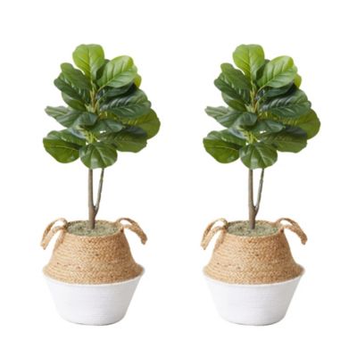 Nearly Natural 3-Foot Artificial Fiddle Leaf Fig Tree with Handmade Cotton and Jute Woven Planter DIY Kit - Set of 2, Green