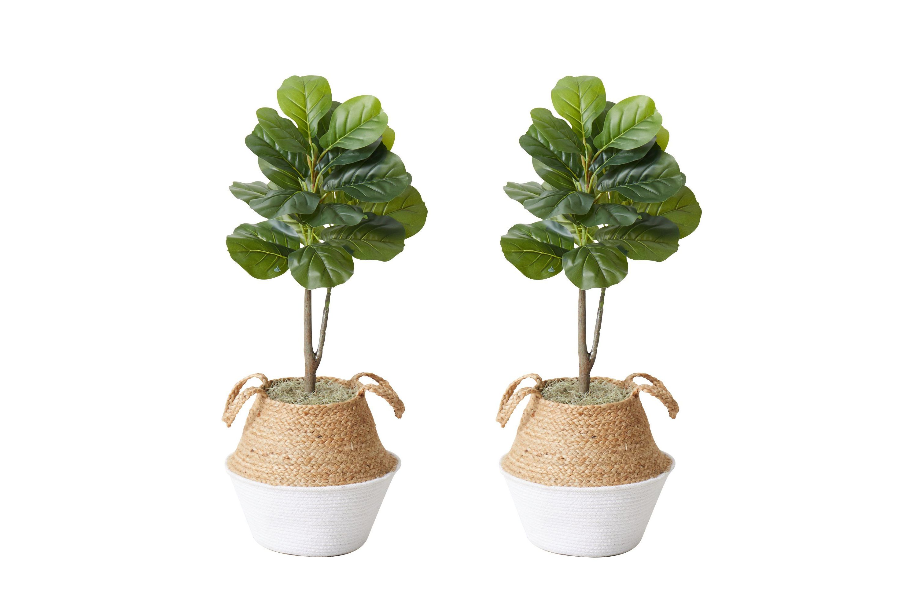 3-Foot Artificial Fiddle Leaf Fig Tree with Handmade Cotton and Jute Woven Planter DIY Kit - Set of 2