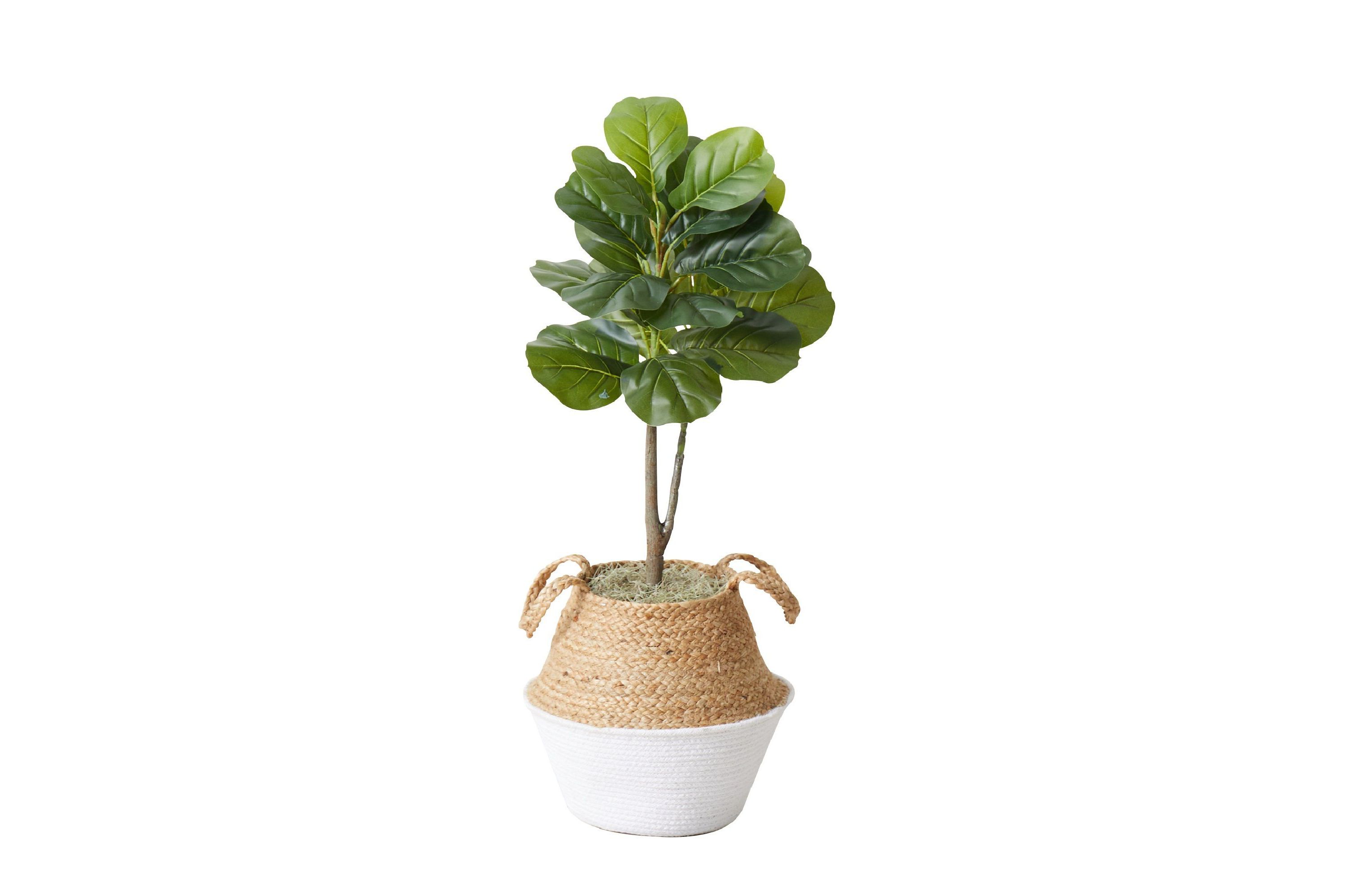 3-Foot Artificial Fiddle Leaf Fig Tree with Handmade Cotton and Jute Woven Planter DIY Kit - Set of 2