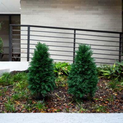 2.5ft. UV Resistant Artificial Cedar Plant with Integrated Ground Stake (Indoor/Outdoor) - Set of 2