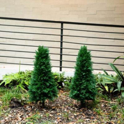 3ft. UV Resistant Artificial Cedar Plant with Integrated Ground Stake (Indoor/Outdoor) - Set of 2