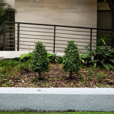 2.5ft. UV Resistant Artificial Boxwood Plant with Integrated Ground Stake (Indoor/Outdoor) - Set of 2