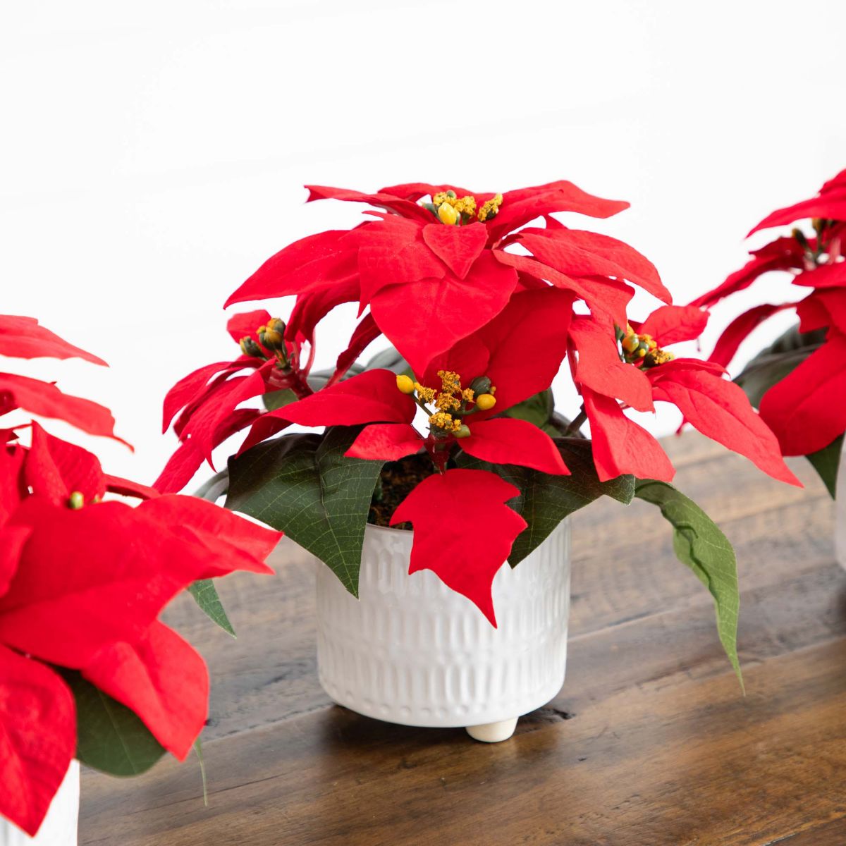 9in. Artificial Poinsettia Arrangements in White Ceramic Pots - Set of 3