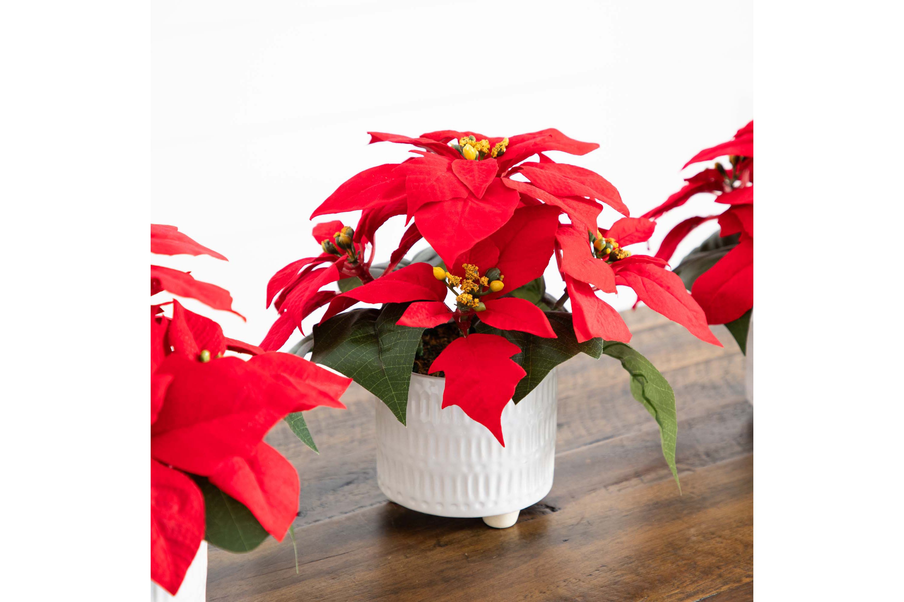 9in. Artificial Poinsettia Arrangements in White Ceramic Pots - Set of 3