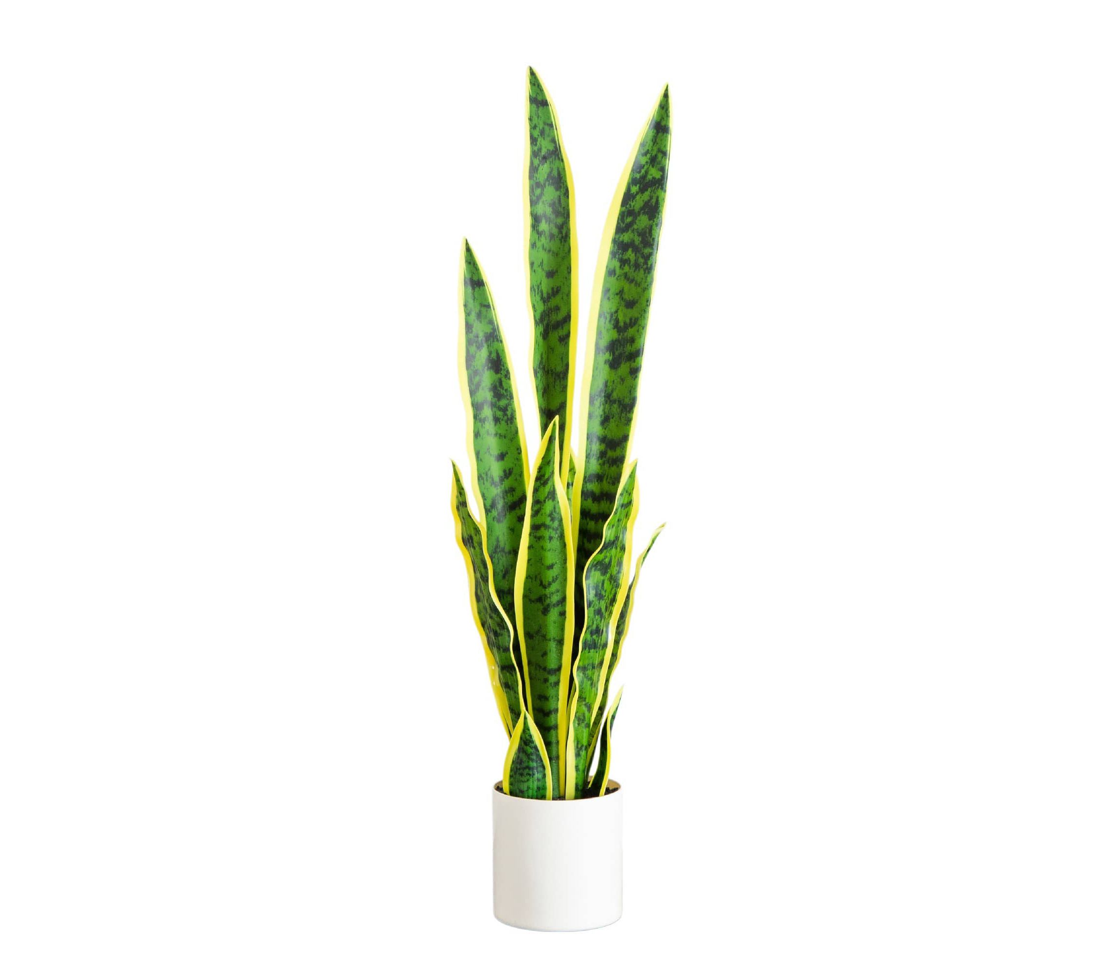 30-Inch Artificial Sansevieria Plant