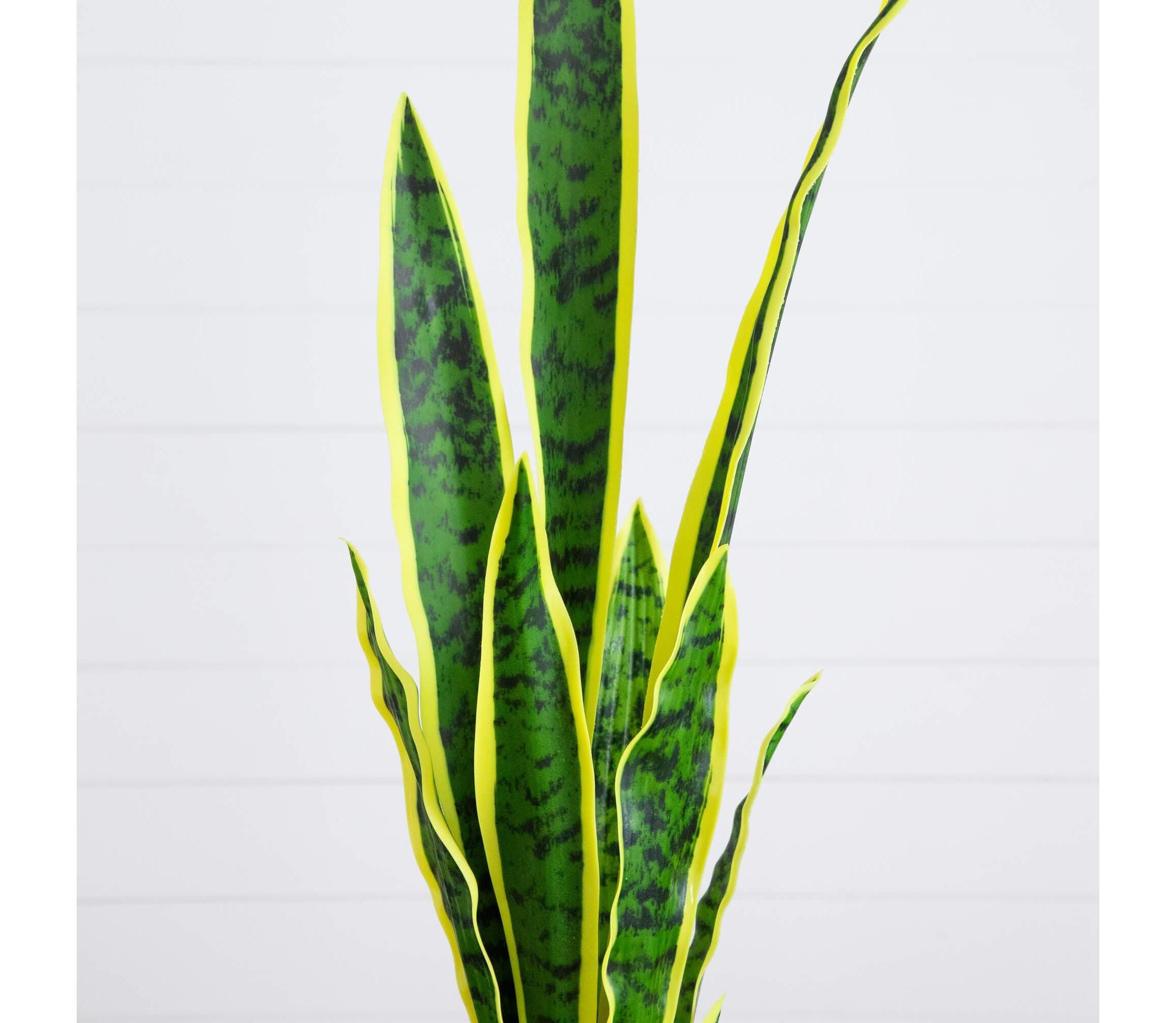 30-Inch Artificial Sansevieria Plant